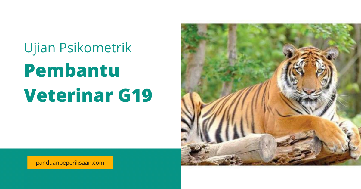 pembantu veterinar g19